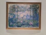 モネ 睡蓮のとき（国立西洋美術館）に投稿された画像（2025/2/1）