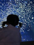 大分マリーンパレス水族館 「うみたまご」に投稿された画像（2025/2/1）