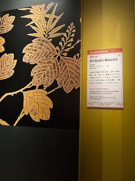 特別展「旧嵯峨御所 大覚寺 －百花繚乱 御所ゆかりの絵画－」（東京国立博物館）に投稿された画像（2025/2/1）