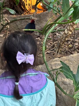 神戸どうぶつ王国に投稿された画像（2025/2/1）