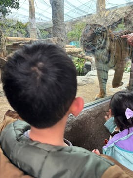 神戸どうぶつ王国に投稿された画像（2025/2/1）