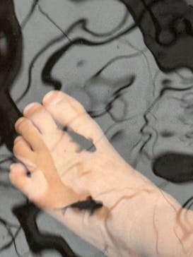 神戸どうぶつ王国に投稿された画像（2025/2/1）