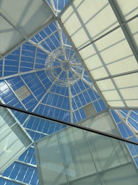 葛西臨海水族園に投稿された画像（2025/2/1）