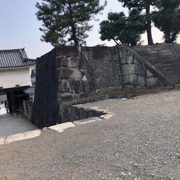 元離宮二条城に投稿された画像（2025/2/1）