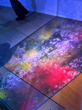 蜷川実花展 with EiM：彼岸の光、此岸の影 NINAGAWA Mika with EiM：Lights of the beyond, Shadows of this worldに投稿された画像（2025/2/1）