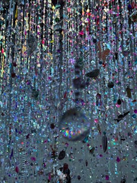 蜷川実花展 with EiM：彼岸の光、此岸の影 NINAGAWA Mika with EiM：Lights of the beyond, Shadows of this worldに投稿された画像（2025/2/1）