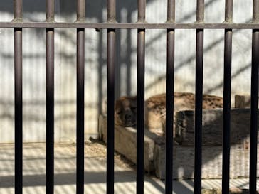 宇都宮動物園に投稿された画像（2025/2/1）