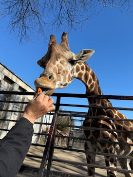 宇都宮動物園に投稿された画像（2025/2/1）