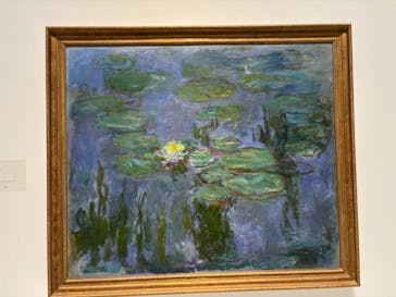 モネ 睡蓮のとき（国立西洋美術館）に投稿された画像（2025/2/1）