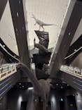 福井県立恐竜博物館に投稿された画像（2025/2/1）