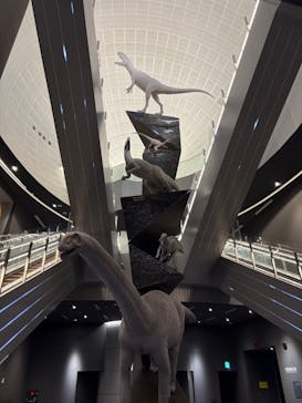 福井県立恐竜博物館に投稿された画像（2025/2/1）