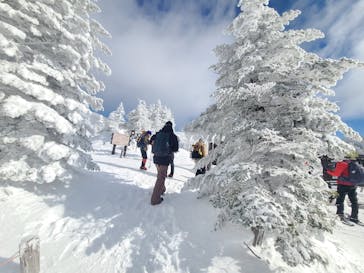 八ヶ岳アウトドア・アクティヴィティーズに投稿された画像（2025/2/1）