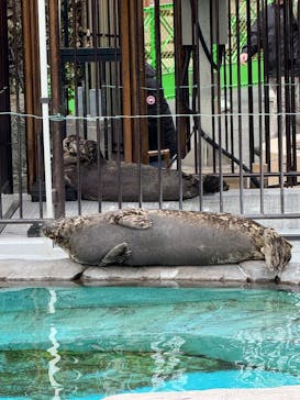 恩賜上野動物園に投稿された画像（2025/2/1）