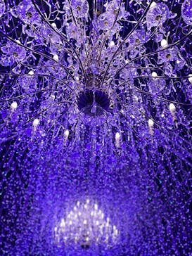 江の島シーキャンドルに投稿された画像（2025/2/1）