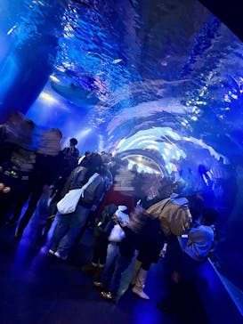 マクセル アクアパーク品川に投稿された画像（2025/2/1）