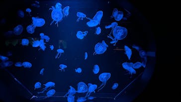 AOAO SAPPOROに投稿された画像（2025/2/1）