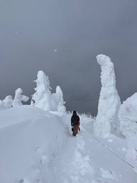 阿仁スキー場に投稿された画像（2025/2/1）