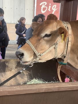 成田ゆめ牧場に投稿された画像（2025/2/1）