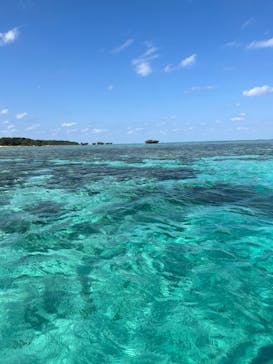 まりんはうすぐるくんに投稿された画像（2025/2/1）