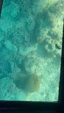 まりんはうすぐるくんに投稿された画像（2025/2/1）