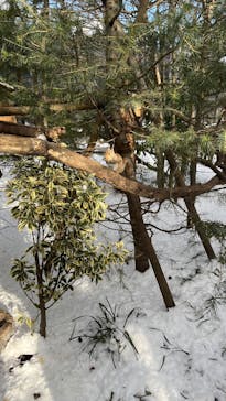 那須どうぶつ王国に投稿された画像（2025/2/2）