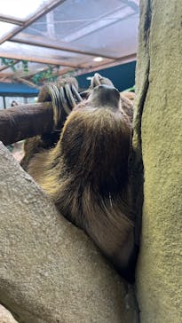 那須どうぶつ王国に投稿された画像（2025/2/2）