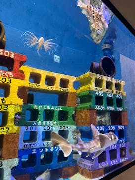 竹島水族館に投稿された画像（2025/2/2）
