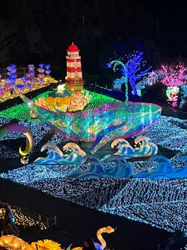 伊豆高原グランイルミに投稿された画像（2025/2/2）