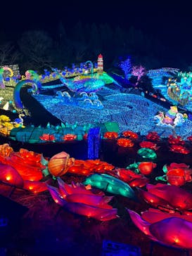 伊豆高原グランイルミに投稿された画像（2025/2/2）