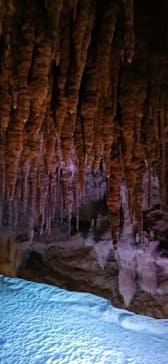 おきなわワールドに投稿された画像（2025/2/2）