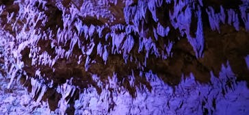 おきなわワールドに投稿された画像（2025/2/2）