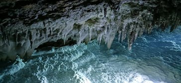 おきなわワールドに投稿された画像（2025/2/2）