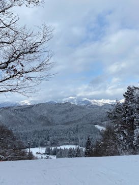 大仙市営協和スキー場に投稿された画像（2025/2/2）