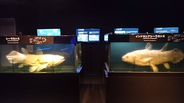環境水族館アクアマリンふくしまに投稿された画像（2025/2/2）