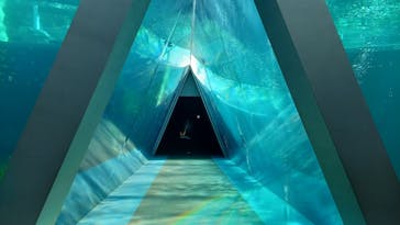 環境水族館アクアマリンふくしまに投稿された画像（2025/2/2）