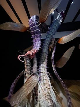 金曜ロードショーとジブリ展　三重展に投稿された画像（2025/2/2）