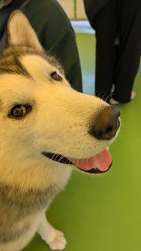 つくばわんわんランドに投稿された画像（2025/2/2）