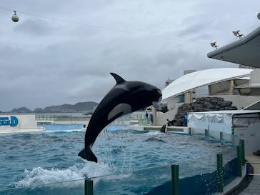 鴨川シーワールドに投稿された画像（2025/2/2）