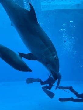 名古屋港水族館に投稿された画像（2025/2/2）