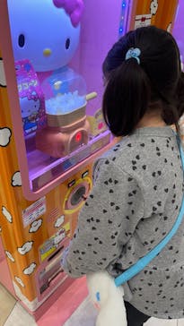 サンリオピューロランドに投稿された画像（2025/2/2）