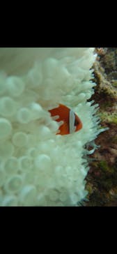 武藤潜水に投稿された画像（2025/2/2）