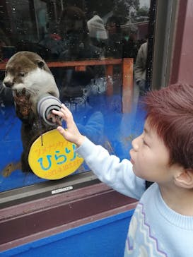 ゼロ距離水族館 伊勢シーパラダイスに投稿された画像（2025/2/2）