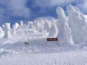 阿仁スキー場に投稿された画像（2025/2/2）