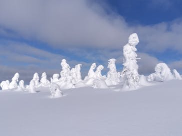 阿仁スキー場に投稿された画像（2025/2/2）