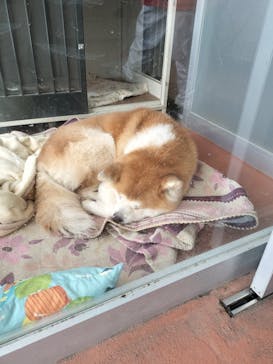 阿仁スキー場に投稿された画像（2025/2/2）