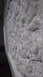 絵画のゆくえ 2025（SOMPO美術館）に投稿された画像（2025/2/2）