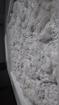 絵画のゆくえ 2025（SOMPO美術館）に投稿された画像（2025/2/2）