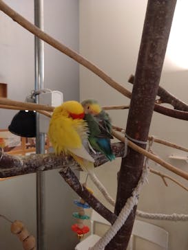 Moff animal cafe イオンモール幕張新都心店に投稿された画像（2025/2/2）