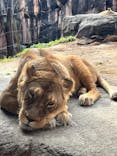 天王寺動物園に投稿された画像（2025/2/2）