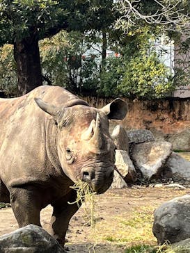 天王寺動物園に投稿された画像（2025/2/2）